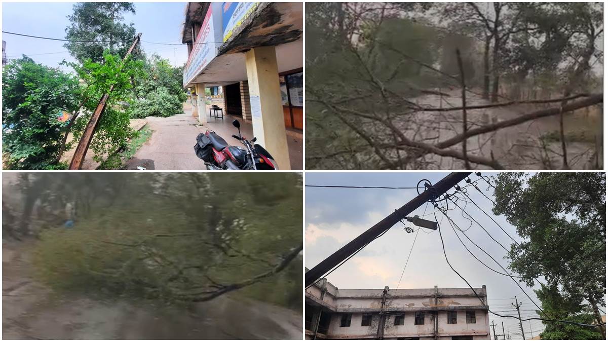 भिलाई-दुर्ग में तेज अंधड़ ने मचाई तबाही, कई स्थानों पर गिरे पेड़, टूटे बिजली पोल व तार