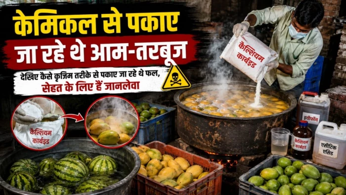 केमिकल रिपनर से पकाए जा रहे थे आम-तरबूज, खाद्य सुरक्षा विभाग ने मारा छापा, कई दुकानों पर कार्रवाई