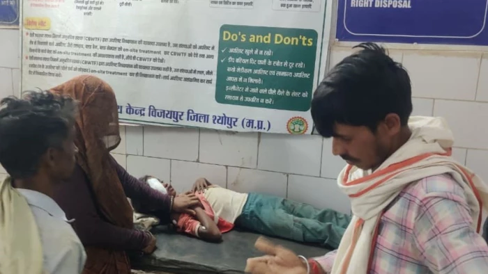 खेत पर काम करने गई 2 बालिकाओं पर सियार ने किया हमला, एक की हालत नाजुक