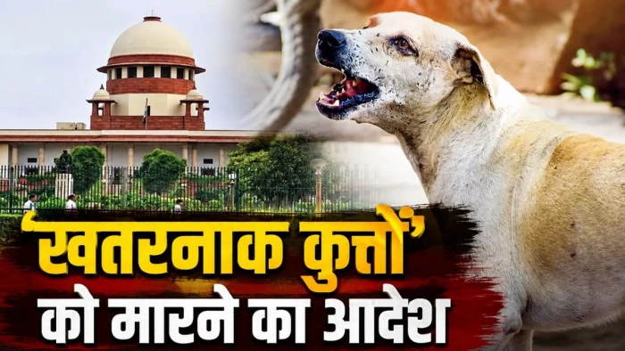 सुप्रीम कोर्ट ने दिया खतरनाक कुत्तों को 'मौत का इंजेक्शन' देने का आदेश, बोला- लोगों की सुरक्षा जरूरी