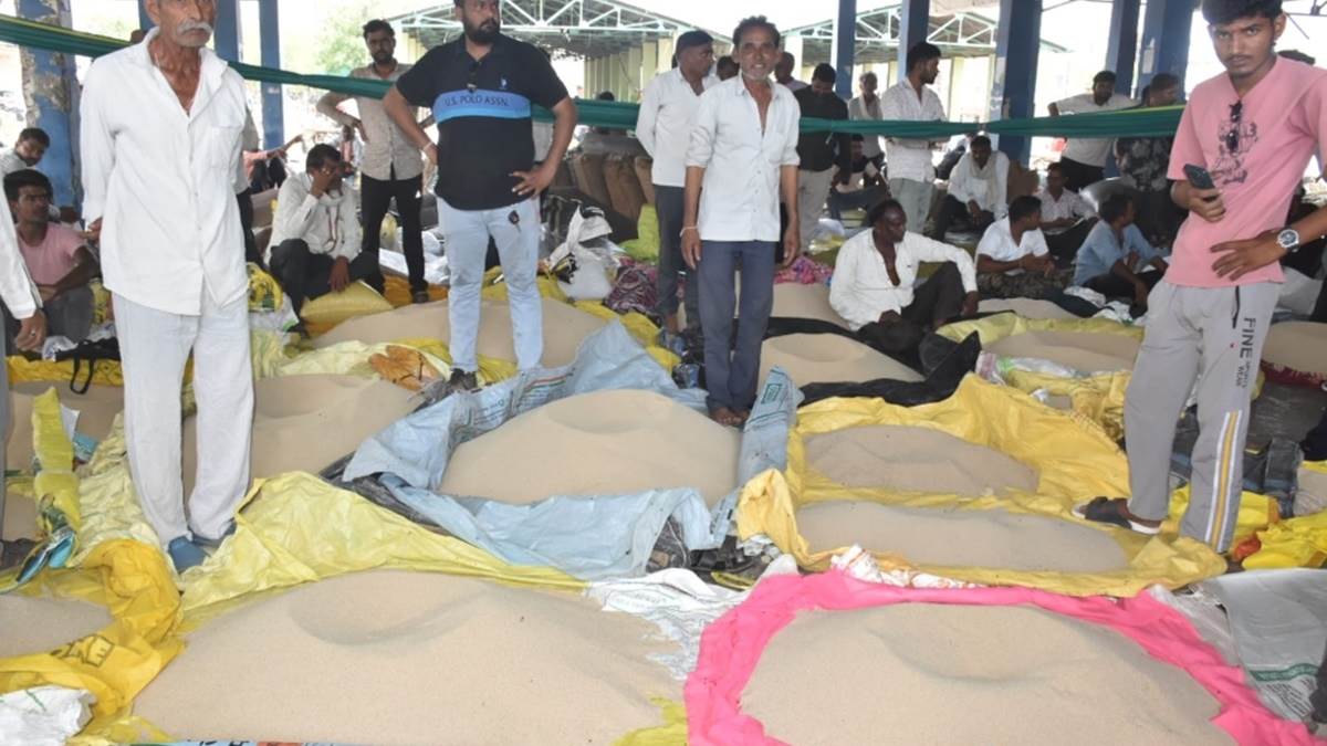 मंदसौर मंडी में 20 साल बाद खसखस की नीलामी शुरू, सबसे ऊंची बोली 1.56 लाख रुपये प्रति क्विंटल
