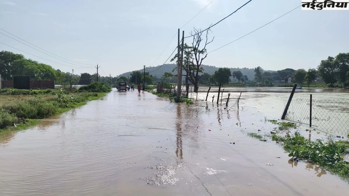 MP Rain: लगातार बारिश से हर तरफ आफत, बुढावली गांव का डैम टूटा, फसलों को भी भारी नुकसान