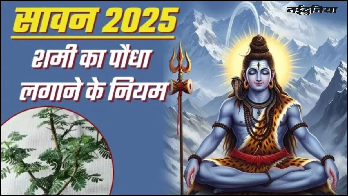 Sawan 2025: अगर आपको भी चाहिए भगवान शिव और शनिदेव की विशेष कृपा, तो घर में लगाएं ये पौधा, होंगे चमत्कारी लाभ