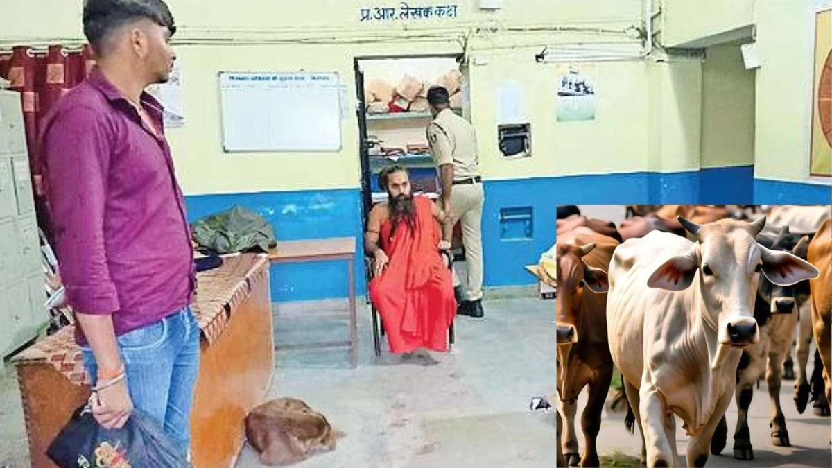 MP में नशे में धुत्त ड्राइवर ने गाय को मारी टक्कर... पीठाधीश्वर खुद पहुंचे थाने, FIR दर्ज होने तक घंटों बैठे रहे