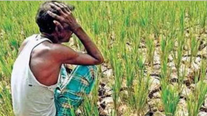 दतिया में राजघाट परियोजना की सुस्त रफ्तार, 19 साल से अधूरी नहर, किसानों को सिंचाई का इंतजार