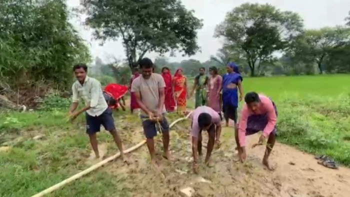 अंबिकापुर में सड़क नहीं तो धान सही... 10 साल से पक्के रास्ते का इंतजार कर रहे लोगों ने कीचड़ भरी सड़क पर रोप दी धान की फसल