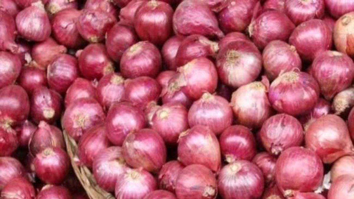 Export Duty on Onion: कहीं टमाटर की तरह प्याज न रुला दे, सरकार ने लगाई 40  प्रतिशत एक्सपोर्ट ड्यूटी - Government imposes 40 percent duty on onion till  31 december