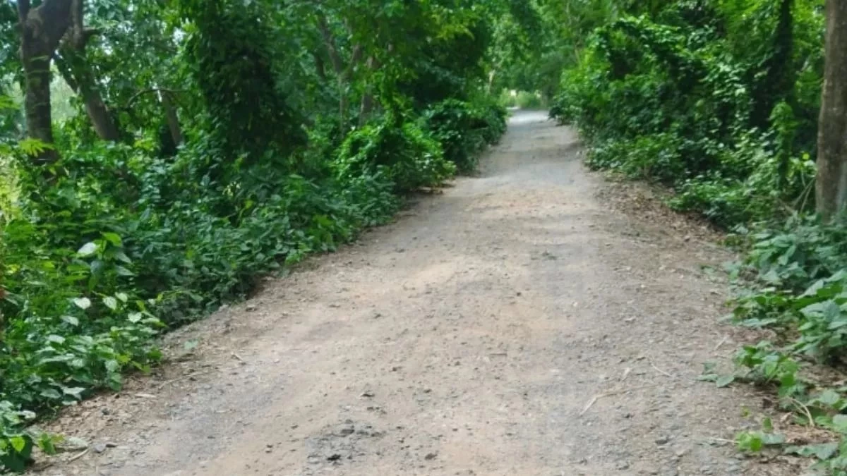 Bihar Road Projects: हर गांव तक पहुंचेगी पक्की सड़क, इस जिले को मिला 231 करोड़ का विकास पैकेज