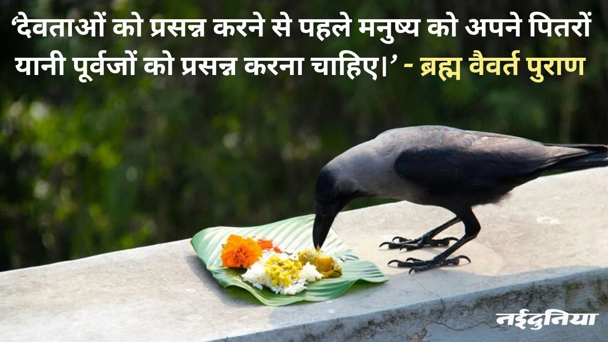Pitru Paksha 2024: सबसे जटिल कुंडली दोषों में शामिल हैं पितृ दोष… ज्योतिषाचार्य से जानिए श्राद्ध पक्ष में शुभ कार्य करें या नहीं