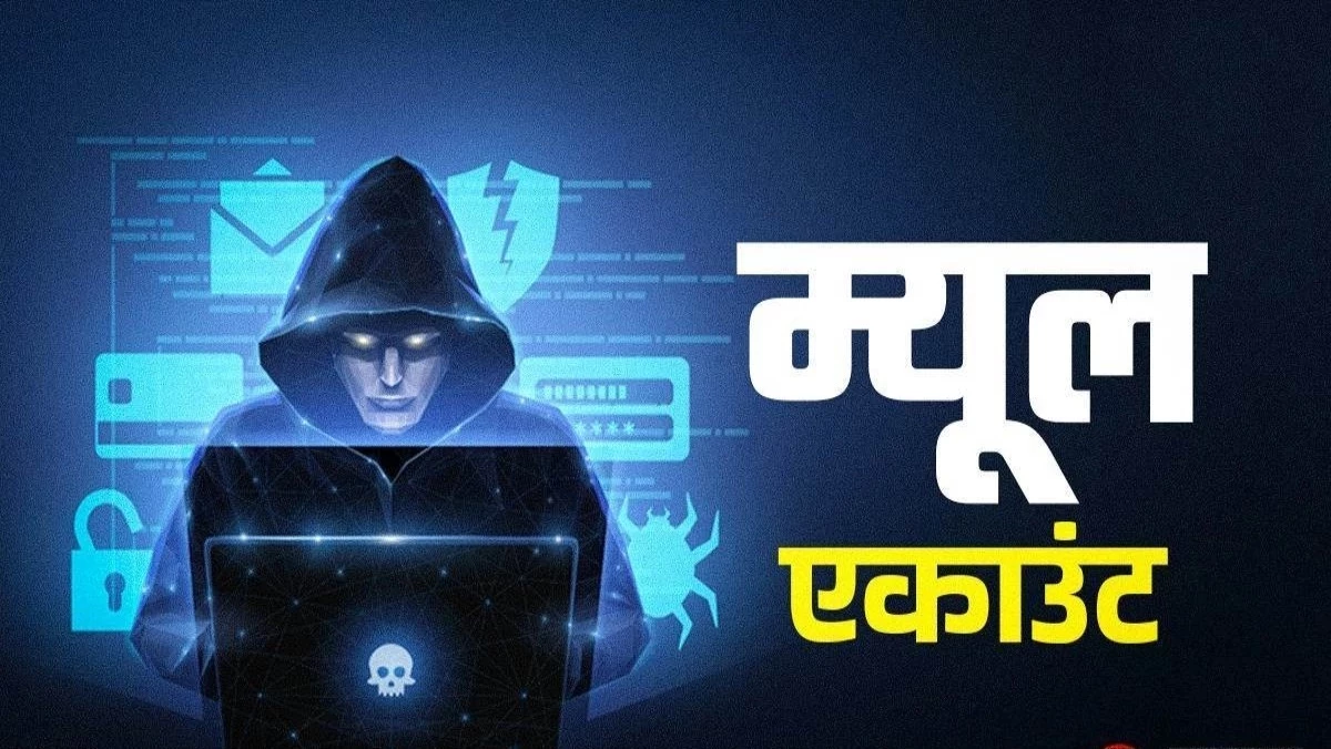 मध्य प्रदेश में मिले तीन लाख से अधिक 'म्यूल' खातों में लेनदेन की होगी छानबीन