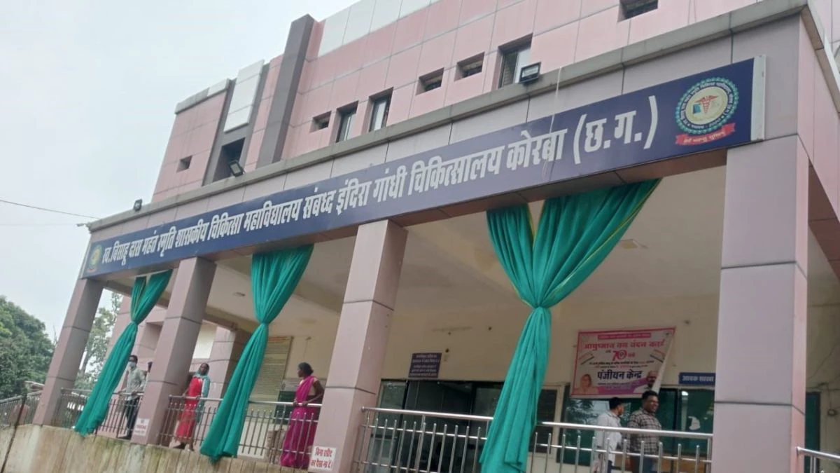 कोरबा में अस्पताल लाने के बाद भी सांप के काटने से पिता-पुत्र की मौत, मां की हालत गंभीर