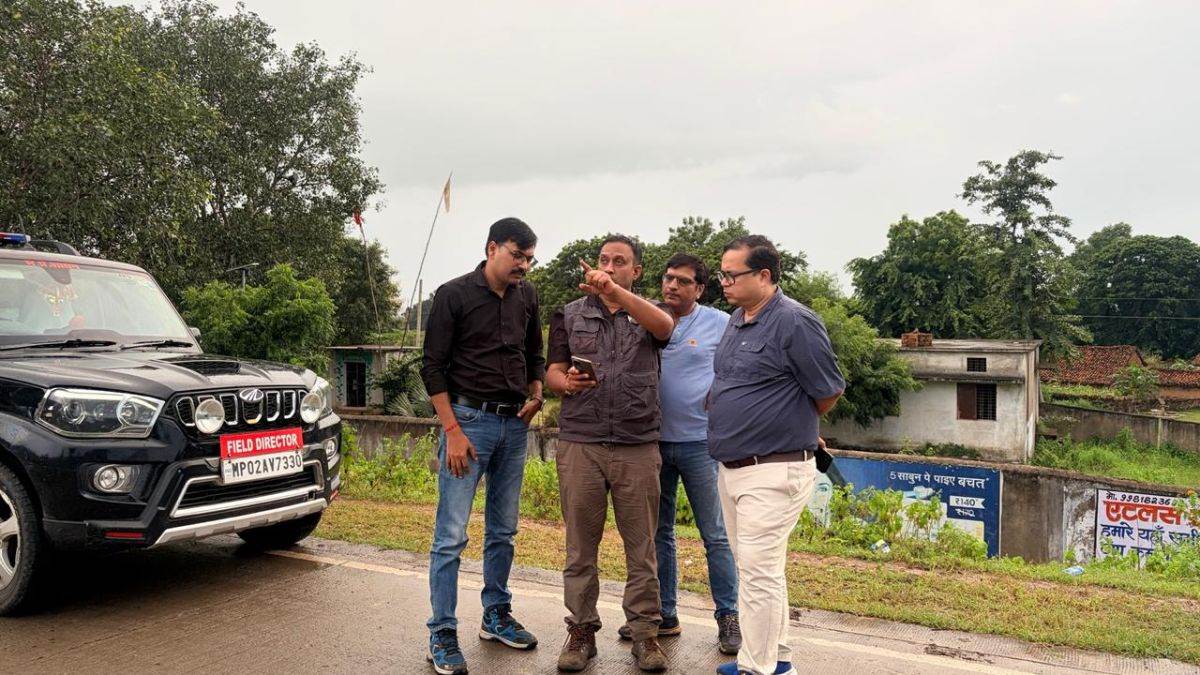 मैहर में हाथी ई-5 का किया जाएगा रेस्क्यू, अमरपाटन से भेजा जाएगा बांधवगढ़ टाइगर रिजर्व, 25 सदस्यीय टीम लोकेशन पर