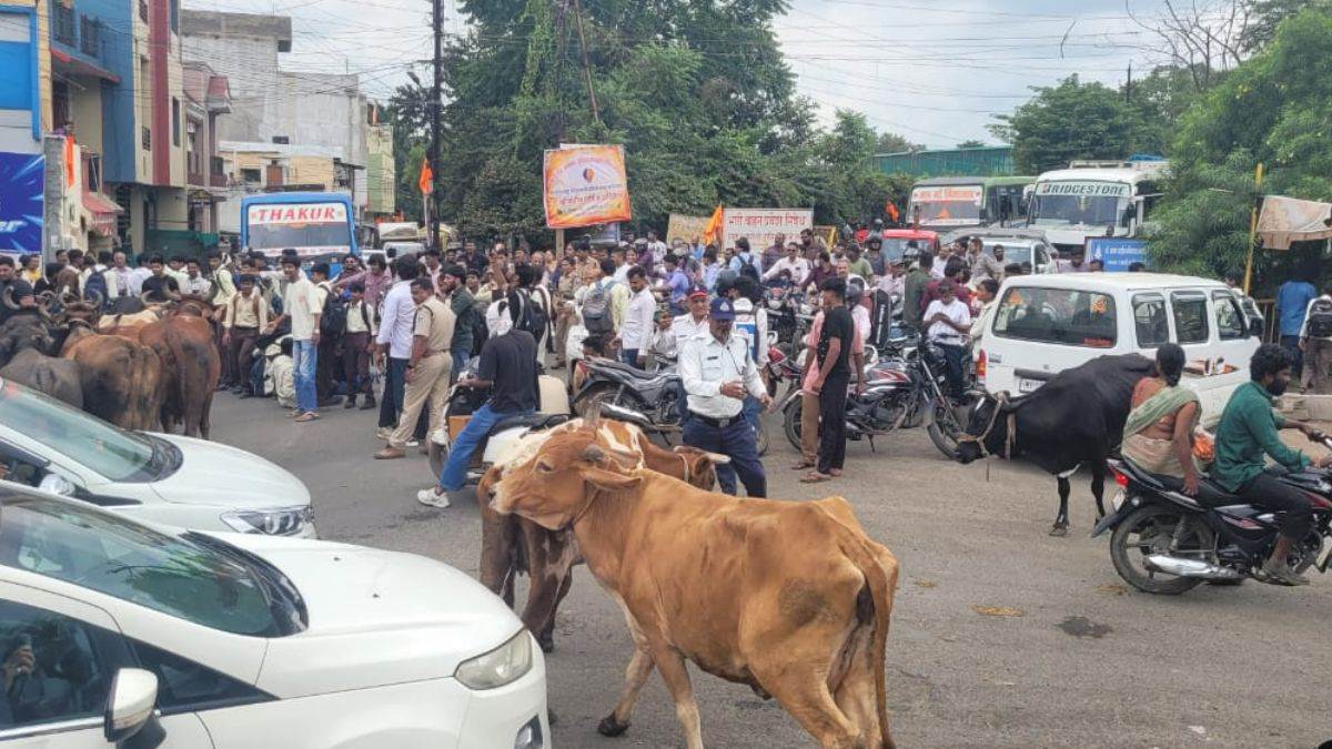 महू में छात्रों ने बस किराया बढ़ाने और स्कूल की समस्याओं को लेकर किया प्रदर्शन, लगाया जाम