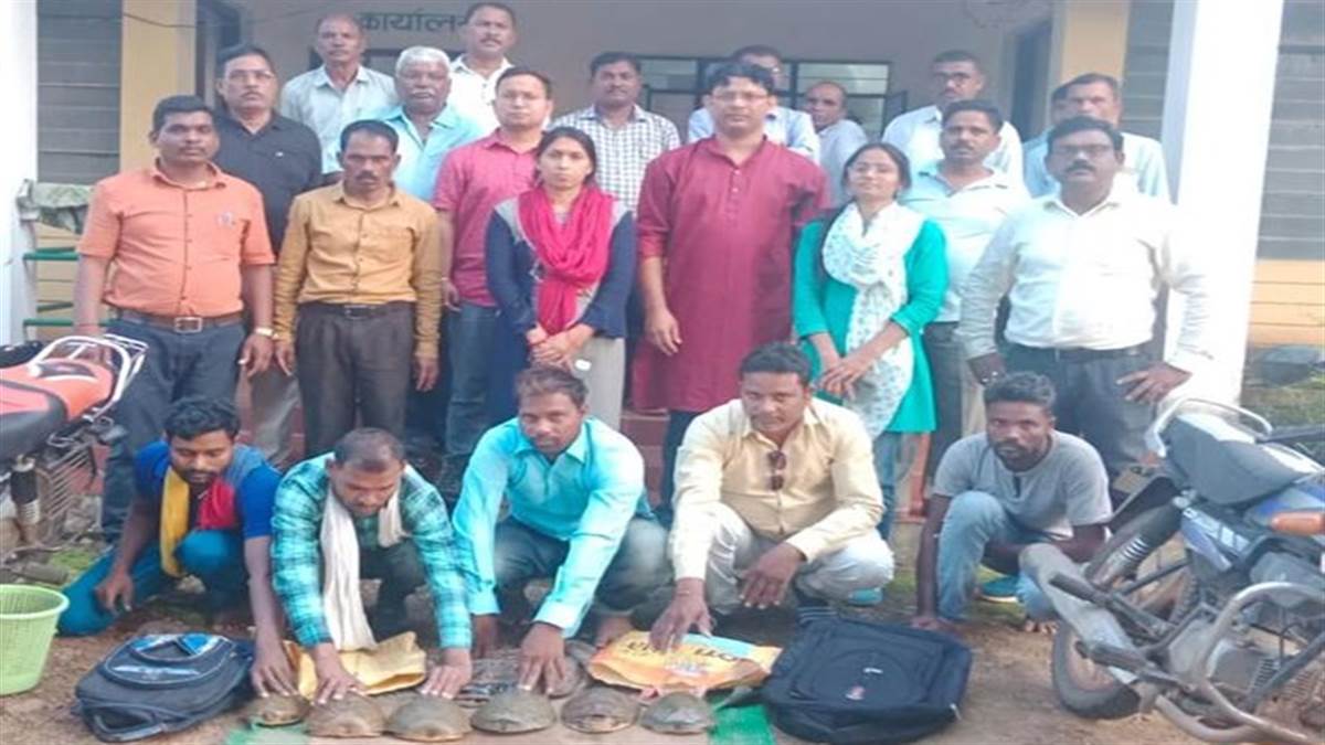 Balaghat News: बाबा बनकर वन विभाग के कर्मचारियों ने कछुआ बेचने वालों को पकड़ा