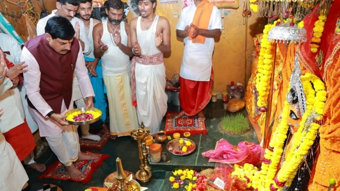 MP में मोरों के संरक्षण एवं पुनर्वास के लिए नया प्रोजेक्ट तैयार, बड़नगर में बनेगा फूड प्रोसेसिंग पार्क