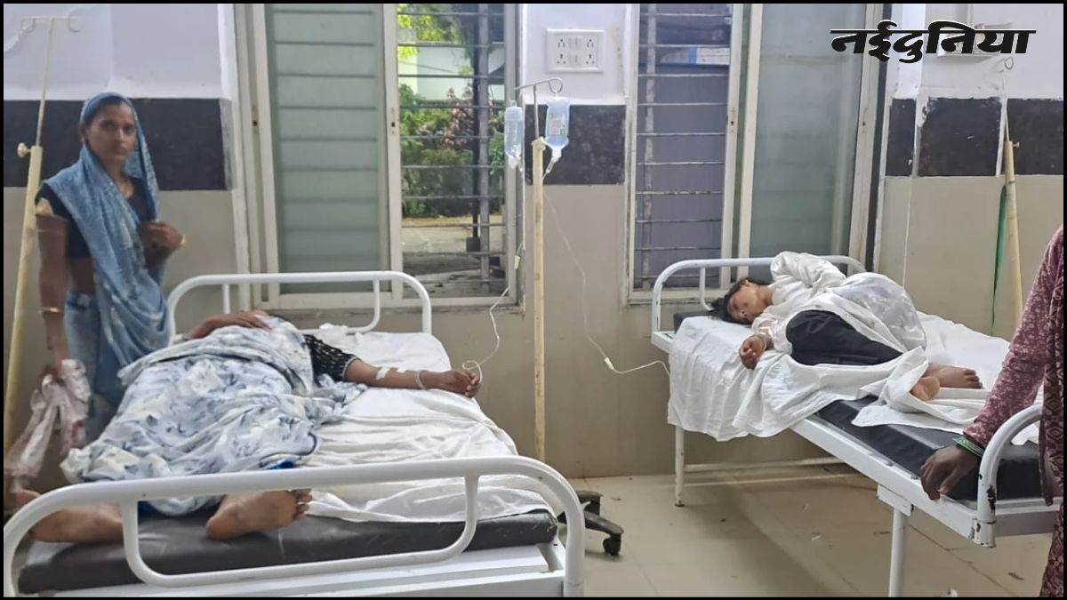 माता की मूर्ति विसर्जन यात्रा में मधुमक्खियों का हमला, भगदड़ मचने से 25 लोग...