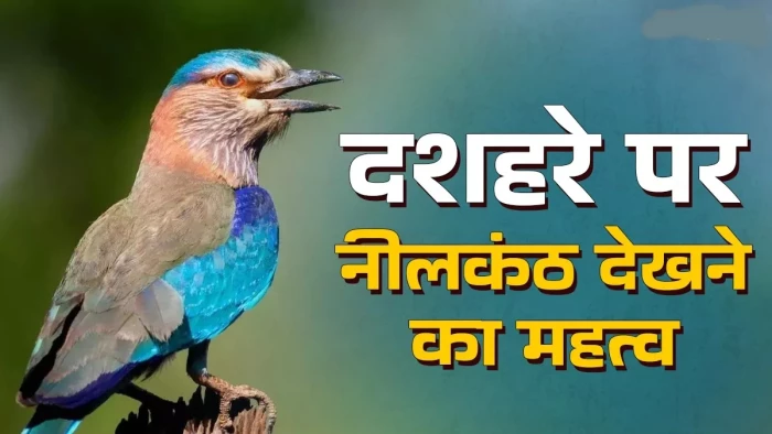 दशहरे के दिन 'नीलकंठ' पक्षी का दिखना शुभ क्यों माना जाता है? धार्मिक मान्यताओं में बताई गई है वजह