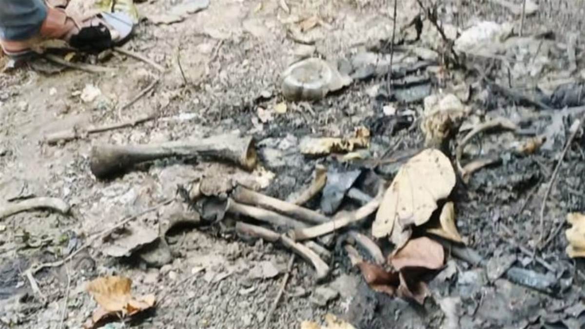 धरमजयगढ़ वनमंडल के बोरो रेंज के रूवाफूल में हाथी बच्चे की मिली सड़ी गली लाश
