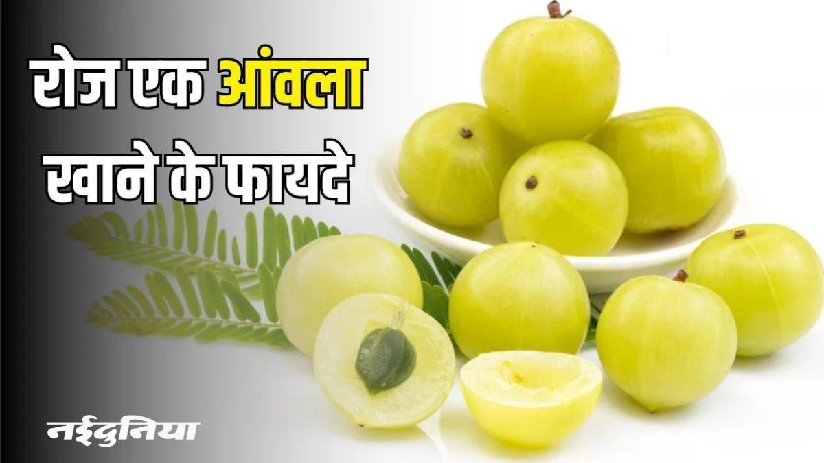 सौ रोगों की एक दवा, अपनी विंटर डाइट में शामिल करें आंवला