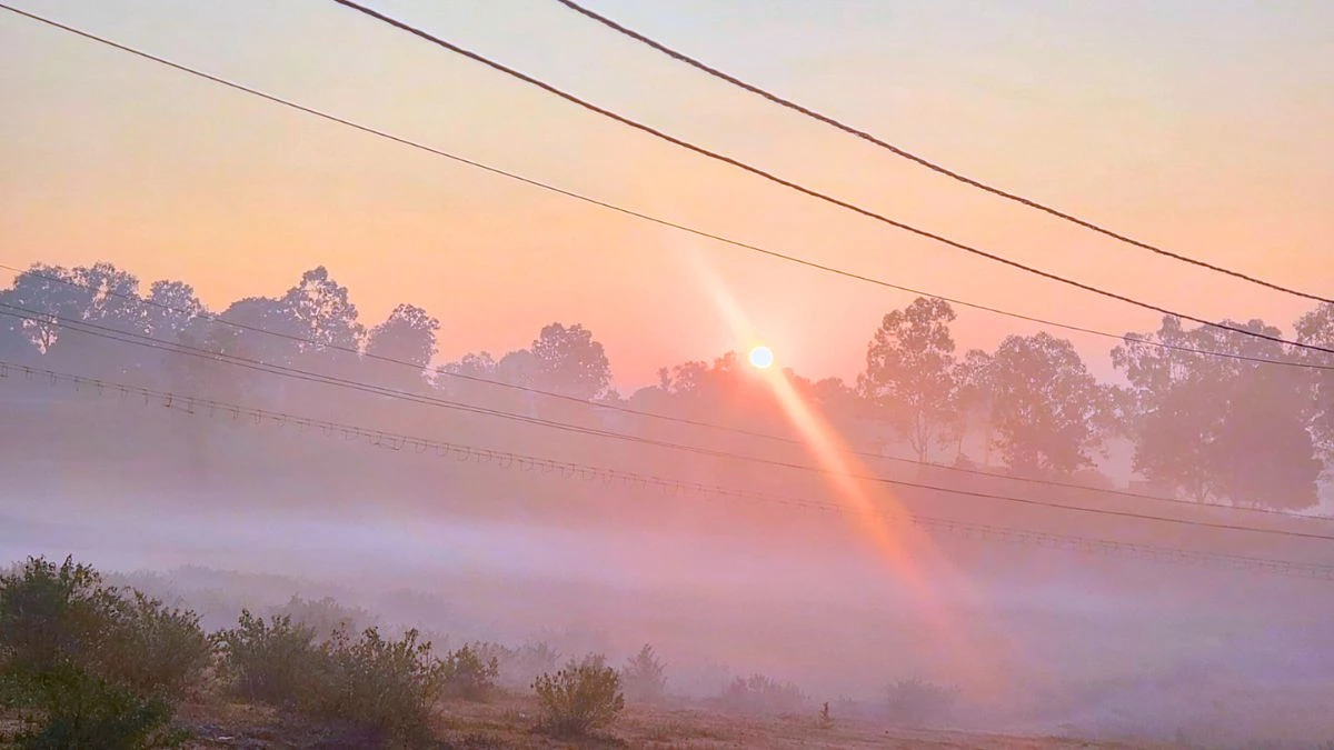 CG Weather Update: प्रदेश में तेजी से बदल रहा मौसम, एक-दो इलाके में शीतलहर और कोहरे की संभावना
