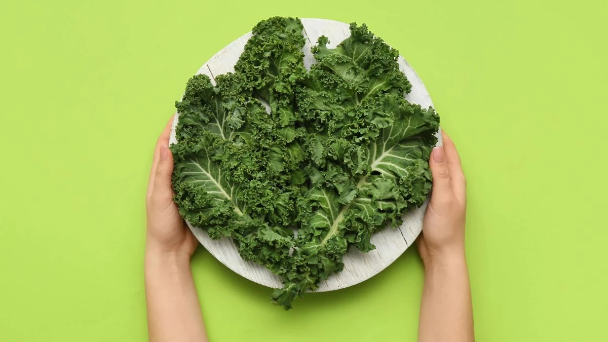 दूध-संतरे को भी मात दे रही है यह 1 सब्जी, मिलेगा भरपूर कैल्शियम-विटामिन-C, फायदे जानकर चौंक जाएंगे