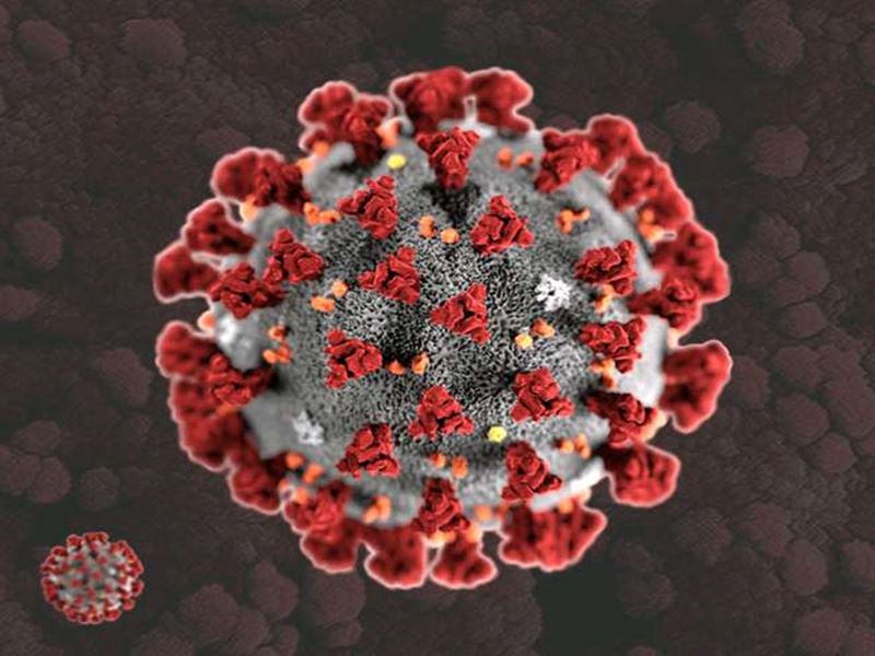 Coronavirus Variant: IIT Indore research found such information about corona virus