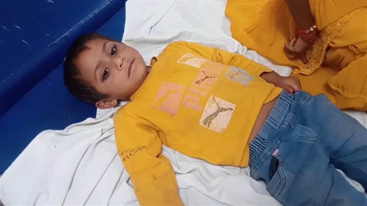 सब्जी में गिरी छिपकली, जहरीला खाना खाने से परिवार के 6 लोगों की तबीयत बिगड़ी, अस्पताल में भर्ती