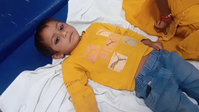 सब्जी में गिरी छिपकली, जहरीला खाना खाने से परिवार के 6 लोगों की तबीयत बिगड़ी, अस्पताल में भर्ती