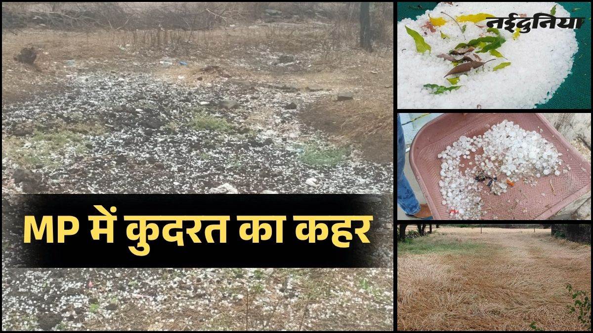 MP Weather Update: मध्य प्रदेश के 42 जिलों में बदला मौसम, कई जिलों में बेमौसम बारिश और ओलावृष्टि, तापमान में भारी गिरावट