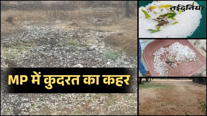 MP Weather Update: मध्य प्रदेश के 42 जिलों में बदला मौसम, कई जिलों में बेमौसम बारिश और ओलावृष्टि, तापमान में भारी गिरावट