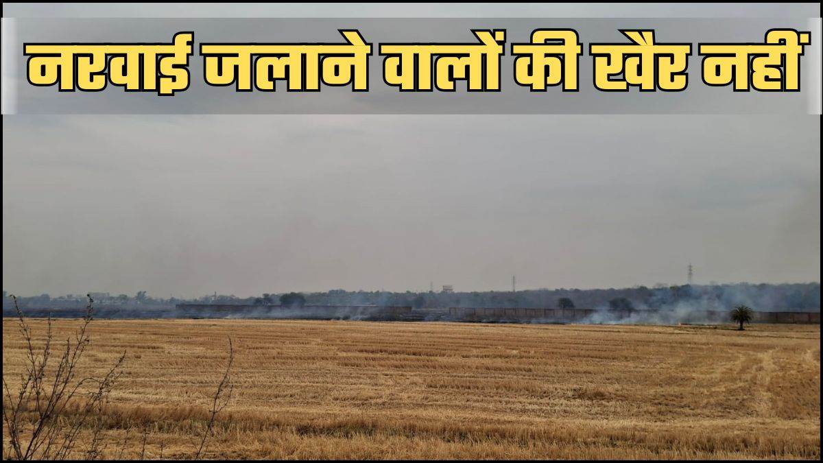 नरवाई जलाने वाले 100 से ज्यादा किसानों पर गिरेगी गाज, सैटेलाइट से होगी खेतों की पहचान, लगेगा भारी जुर्माना