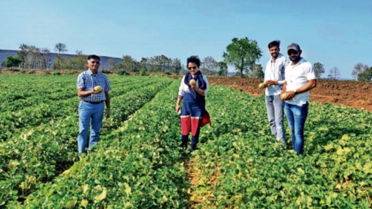 Success Story: मध्य प्रदेश में किसानों की सूझबूझ… मालामाल कर रहे सब्जी, तरबूज और खरबूज
