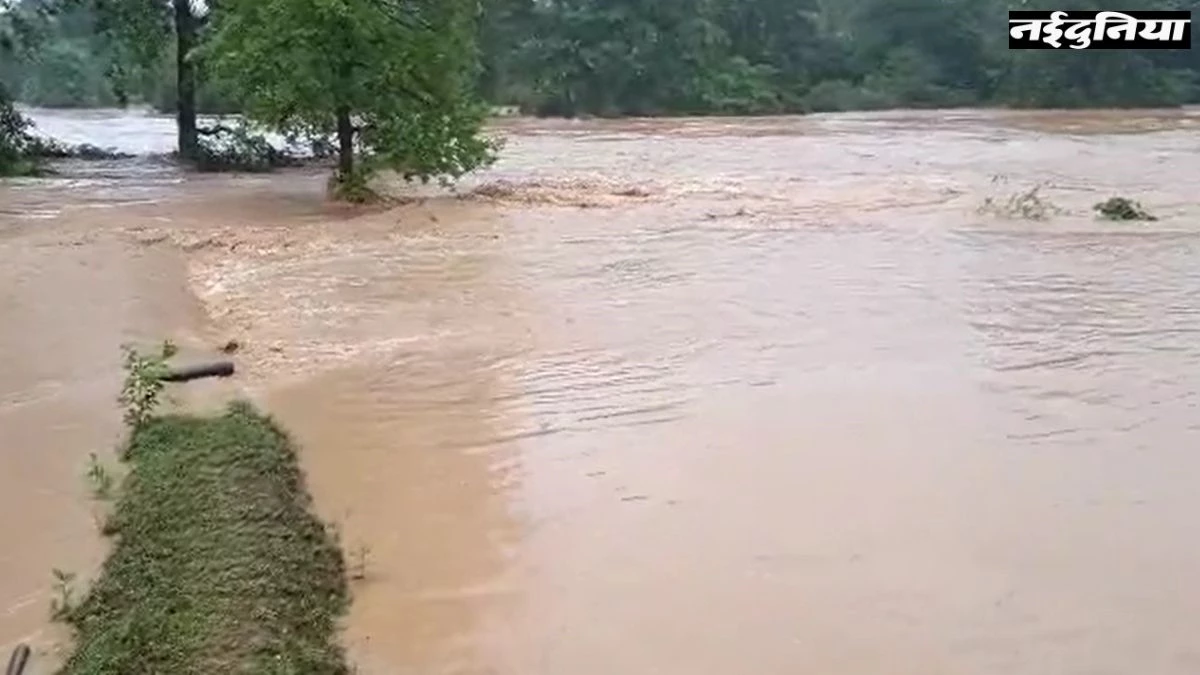 Ambikapur News: उफनती मैनी नदी में बह गए 2 बच्चों सहित 4 लोग, 20 घंटे से तलाश जारी