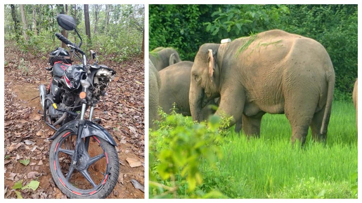 राजामाडा जंगल में दंतैल हाथी का हमला; ग्रामीण ने भागकर बचाई जान, बाइक चकनाचूर