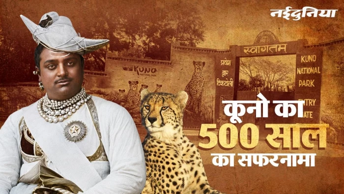 121 साल पहले अधूरी रह गई थी महाराजा सिंधिया की हसरत, किया था 1 लाख का शाही प्रयोग... कूनो की अनसुनी कहानी