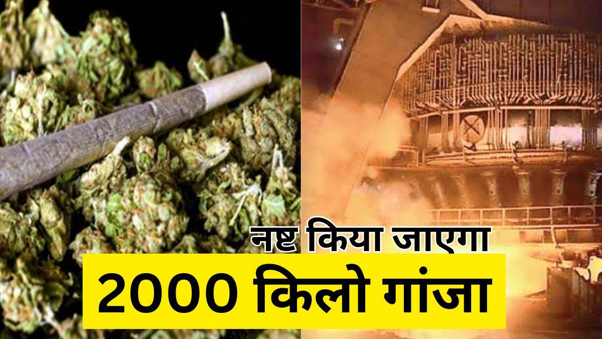 BSP के ब्लॉस्ट फर्नेस में जलाया जाएगा 2000 किलो गांजा, बाजार में कीमत 3 करोड़ से अधिक