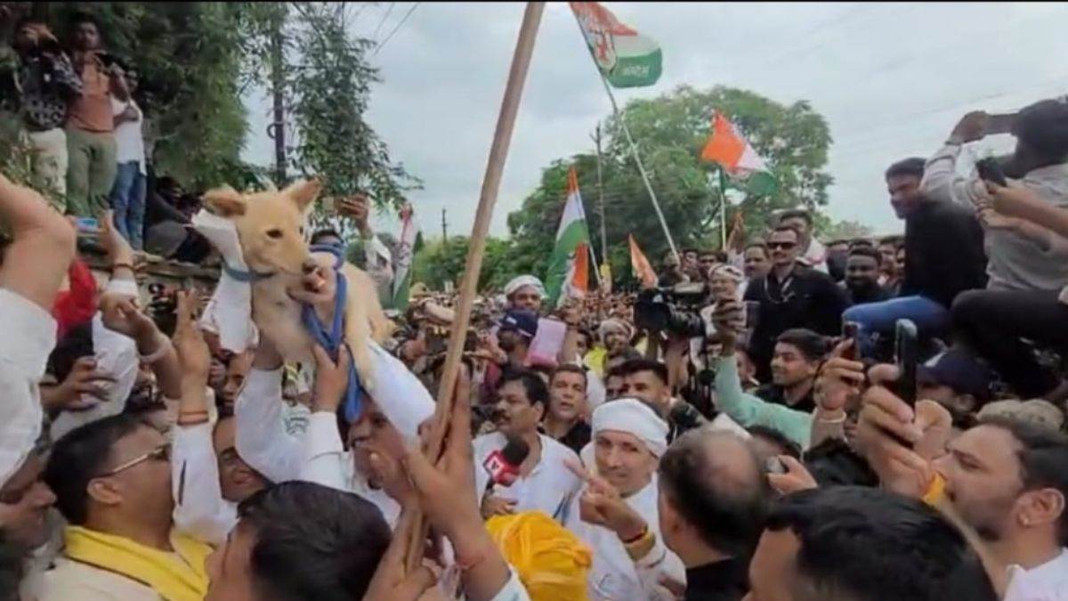 छिंदवाड़ा में कांग्रेस का अनोखा विरोध, कलेक्टर ना मिलने पर कुत्ते को सौंपा ज्ञापन