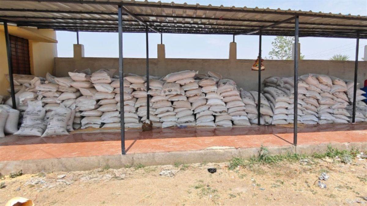 झाबुआ में लापरवाही की हद... सरकारी गोदाम में सड़ गया 3 क्विंटल गेहूं, उग्र आंदोलन के मूड में ग्रामीण
