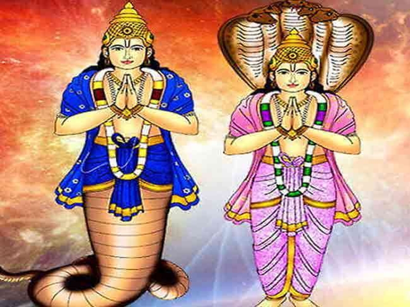 Raahu-Ketu Raashi Parivartan Rahu and Ketu will change Raashi on this day  this is the assessment of astrologers