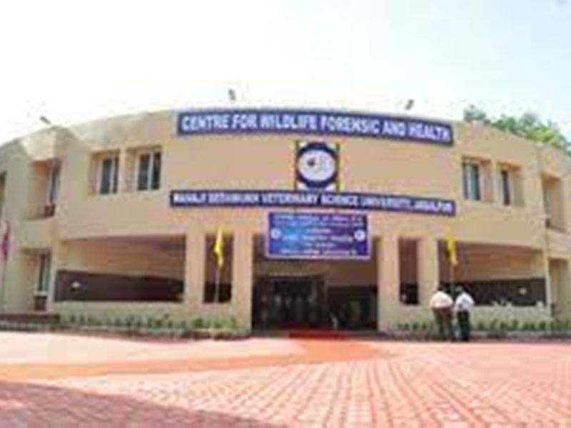 Veterinary University Jabalpur वेटरनरी डिप्लोमा के पेपर लीक की जांच