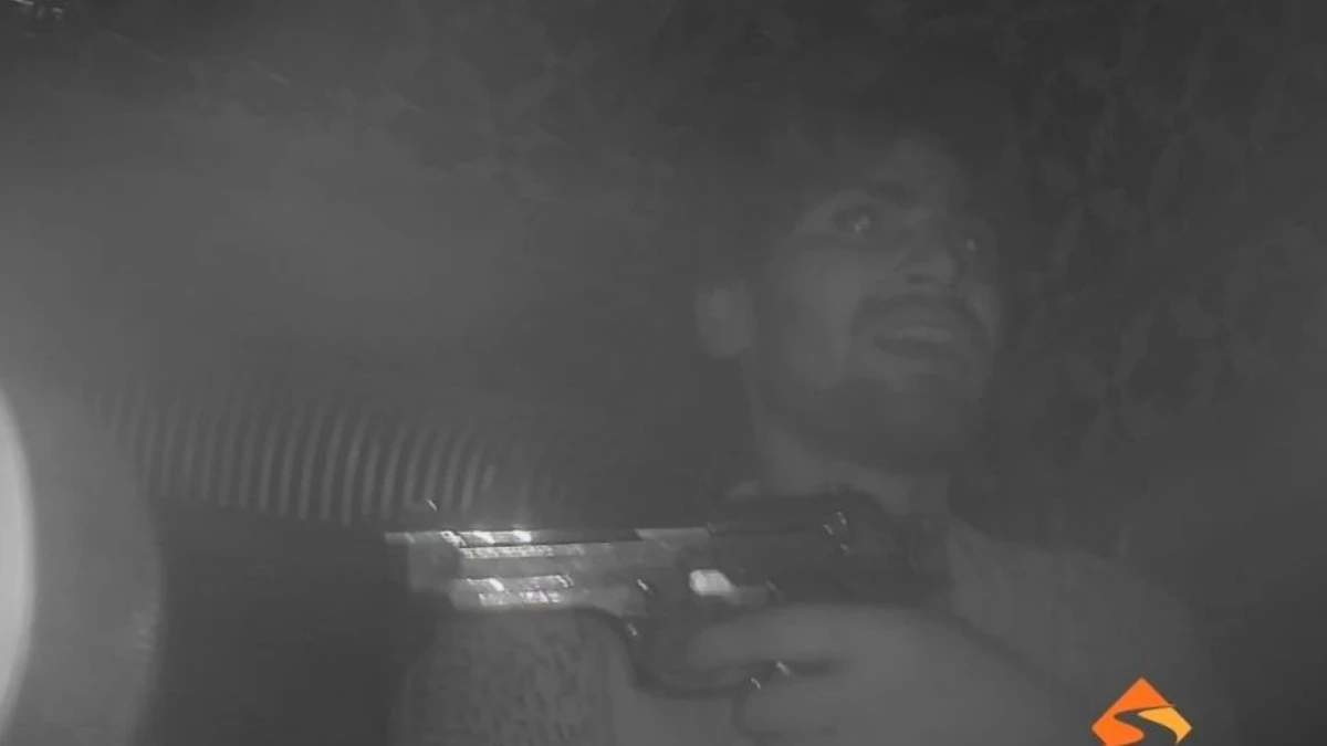 मध्य प्रदेश में फिल्मी स्टाइल में लूट... चलते ट्रक में चढ़े लुटेरे, बंदूक की नोक पर चालक को बनाया बंधक, वीडियो वायरल