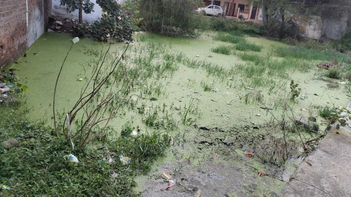 भोपाल में स्वच्छता सर्वेक्षण में अव्वल आने के दावे फेल, सड़कों के किनारे बने कूड़ादान