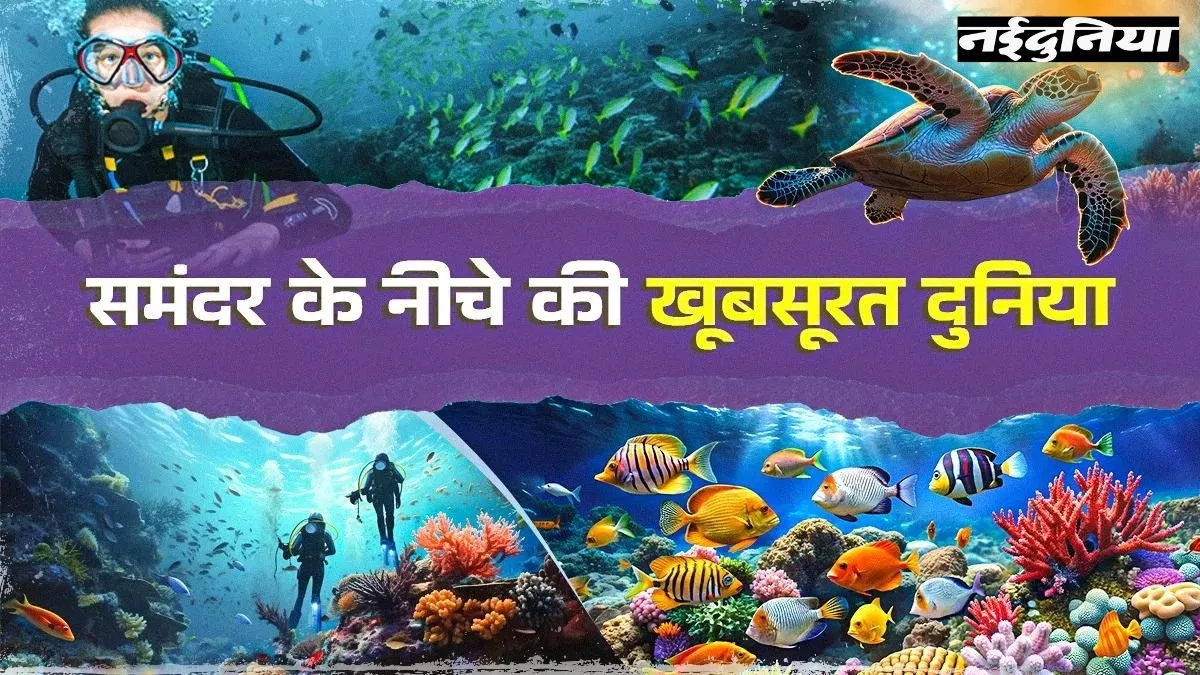 Scuba Diving: रोमांचक लेकिन जानलेवा खेल... Zubeen Garg की मौत से उठे सवाल