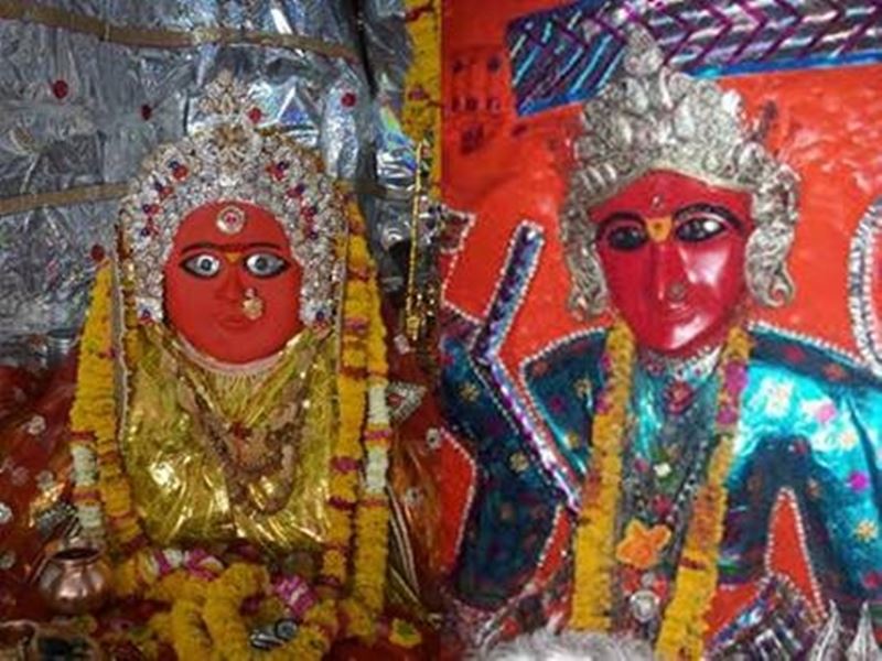 naidunia_image