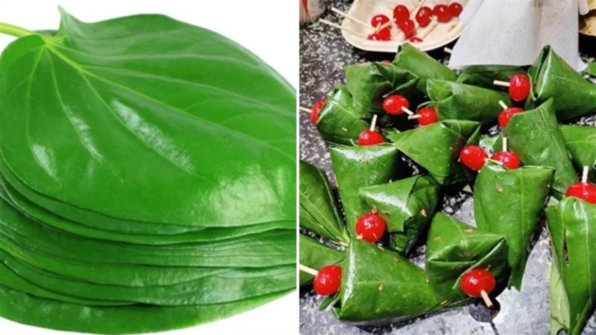 health-benefits-of-paan