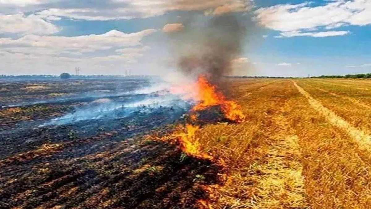 Gwalior : पराली जलाने वाले किसानों की रुकेगी किसान कल्याण योजना की राशि, पूरे गांव को एमएसपी से वंचित होना पड़ेगा