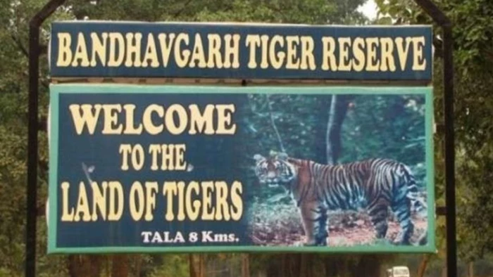 बांधवगढ़ से कान्हा, पेंच, पन्ना और सतपुड़ा तक वन्यजीव बचाव केंद्रों की तैयारी, सिर्फ रेस्क्यू सेंटर होगा