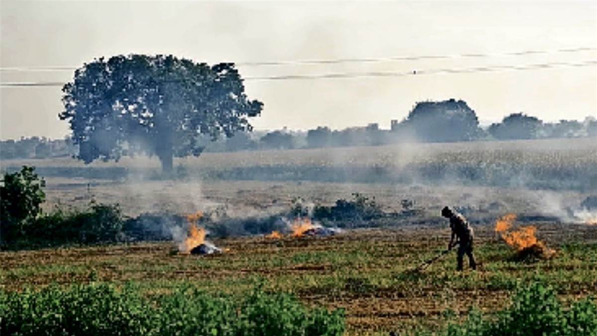पराली जलाने में पंजाब को भी पीछे छोड़ने वाले विदिशा में फिर सुलगने लगे खेत, 2 किसानों पर FIR