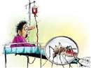 Dengue in Gwalior: ग्‍वालियर में डेंगू डंक से अब तक 323 बच्चे बीमार हुए