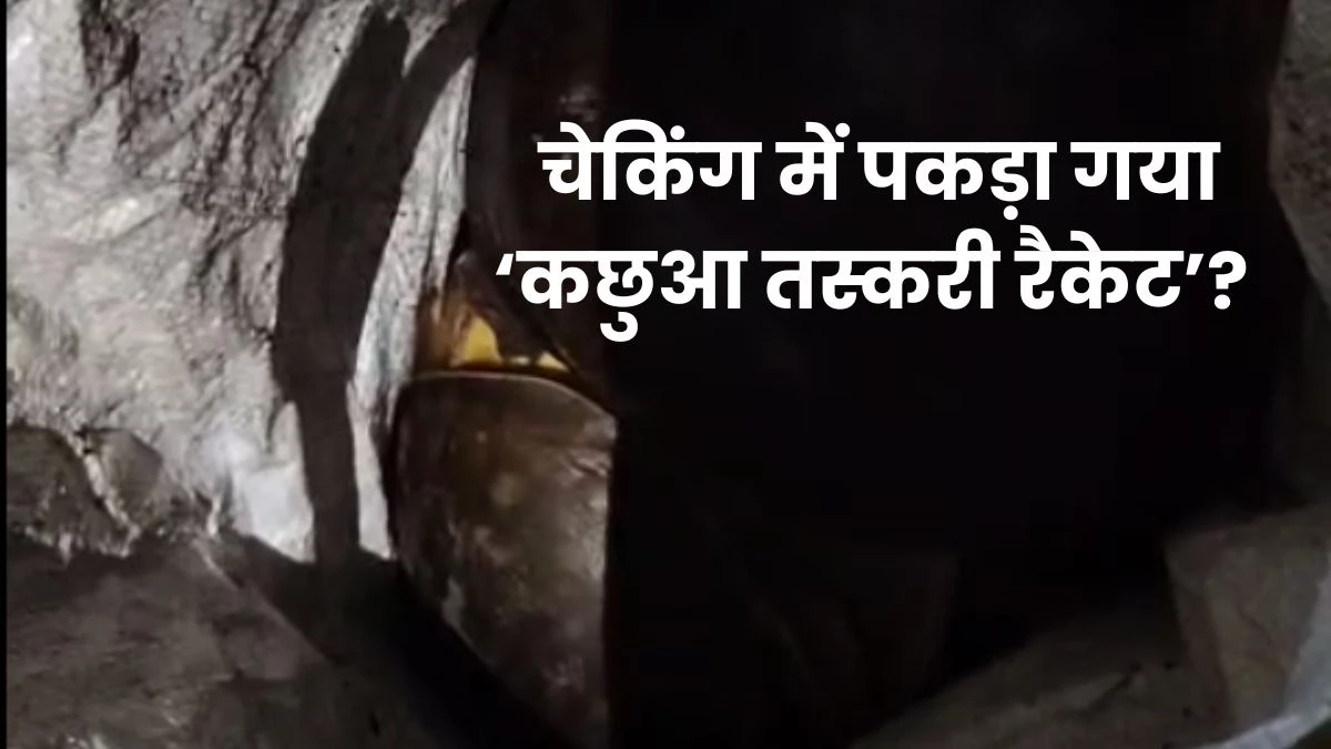चेकिंग में पकड़ा गया ‘कछुआ तस्करी रैकेट’? पुलिस ने बरामद किए 15 दुर्लभ कछुए, आरोपी तलाश में